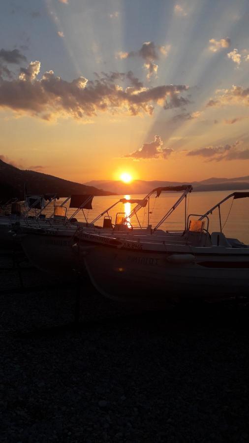 Vasiliki See View Apartments バルバティ エクステリア 写真